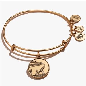Alex and Ani Cruise Ship Charm Bangle